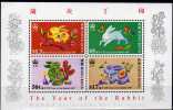 Jahr Des Hasen 1987 Hongkong Block 7 ** 50€ Chinesisches Neujahr Stickerei Hase New Year Bloc Fauna Sheet Of HONG KONG - Ungebraucht