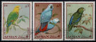 BIRDS / PARROTS / AJMAN / 3 VFU STAMPS   . - Parrots