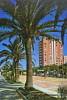 SANLUCAR DE BARRAMEDA - Calzada Del Ejercito  Y / La Chaussée De L´Armée Et : Hotel GUADALQUIVIR - TBE Neuve, 2 Scans - Cádiz