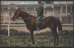 Equestre - Equitation - Reitsport - Hippisme