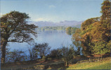 ANGLETERRE / ENGLAND : WINDERMERE FROM LOW WOOD LK. 310A - Other & Unclassified