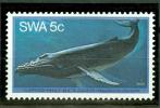 NANIBIE SWA BALEINE - Walvissen