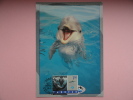 CARTE MAXIMUM MAXIMUM CARD DAUPHIN ILES FEROE RARE - Dolphins