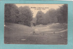 BRUXELLES -  Bois De La Cambre  - Im Brüsseler Wald  -  1917 FELDPOST-  CARTE ANIMEE  -  ( Traces D´usure ) - Parks, Gärten
