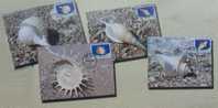 Maxi Cards Taiwan 2010 Seashell Stamps (IV) Shell Marine Life Fauna - Cartoline Maximum