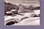 Suisse - Mignonnette -Bettmeralp - Herzliche Neujahrswunsche - Editeur: ? N° 20017 - Bettmeralp