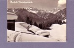 Suisse - Mignonnette - Riederalp - Herzliche Neujahrswunsche - Editeur: ? N° 18477 - Riederalp