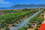 MARINA DI CARRARA - Panorama - Circulée En 1963, 2 Scans - Massa