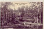 Bourgogne..Morvan ...Saint Didier  Une Coupe En Foret.....thème  Métier Du Bois .. - Bourgogne