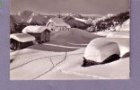 Suisse - Bettmeralp - Fletschhorn, Mischabel, Matterhorn, Welsshorn - Editeur: Guger & Klopfenstein N° 20018 - Bettmeralp