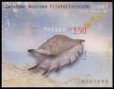 (003) Poland / Pologne / Polen  Shells Sheet / Bf / Bloc Coquillages / Muscheln / Mussels ** / Mnh  Michel BL 161 B - Nuovi