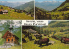 NENDAZ  BLEUSY, PLANCHOUET  KÜHE  VACHES - Nendaz