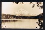 RB 788 - Real Photo Postcard - Mount Hood From Lost Lake Oregon USA - Autres & Non Classés