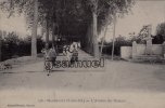 D-44. Machecoul - L'Avenue Des Platanes (attelage) - (voir Courrier - Scan Recto-verso). - Machecoul