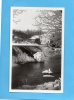 REALMONT-Le Dadou En Hiver-rivière Gelée Et Neige-beau Plan -années 30-40 édition POUX - Realmont