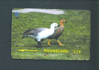 FALKLAND ISLANDS  -  Magnetic Phonecard As Scan - Falklandeilanden