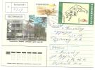 Registered Cover Turkmenistan 1998 ( Camel And Atlanta 96 Stamps) - Turkmenistán