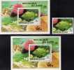 WWF Nationaler Naturschutz Tropische Fische 1980 Zaire 672, Block 38 ** Plus O 16€ Balistapus Undulatus Fish Sheet Kongo - Ungebraucht