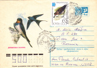 BIRDS,HIRONDELLE SWALOW ,cover Entier Postal Stationary 1976  Very Rare RRR,RUSSIA. - Swallows