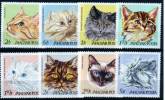 HUNGARY - 1968. Cats - MNH - Unused Stamps