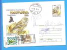 Bird , Birds,owl ROMANIA Postal Stationery Cover 2001 - Gufi E Civette