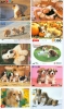 GROS LOT De 50 Cartes Prépayées Japon (LOT 118) CHIENS * DOGS * HUNDE * HONDEN Japan Prepaid Cards * Karten - Collections
