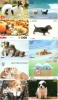 GROS LOT De 50 Cartes Prépayées Et Telecartes Japon (LOT 119) CHIENS * DOGS * HUNDE * HONDEN Japan Cards * Karten - Colecciones