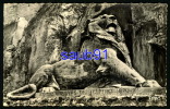 Belfort - Le Lion  - Oeuvre  De Bartholdi -  Réf : 20729 - Belfort – Le Lion