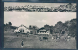 Cernier, Hôtel De La Balance, Vue Des Alpes, Animée, Vaches, - Cernier