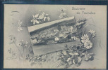 Souvemir De Tramelan, Fleurs, - Tramelan