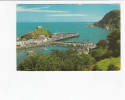 OLD FOREIGN 6686 - UNITED KINGDOM - THE HARBOUR AND HILLSBOROUGH HILL ILFRACOMBE - Ilfracombe