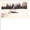 Real Photo Photograph Yukon Mosquito Man Being Bitten Postmark Dawson Yukon Canada 1955 - Yukon