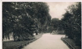 Leiden  Vd Werfpark  2560 - Leiden