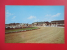 New York > Syracuse  Sulky Racing & Main Event 100 Mile Automobile NY State Fair Early Chrome  -  ----  -- -- Ref 332 - Syracuse