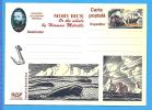 Moby Dick, Or The Whale By Herman Melville ROMANIA Postal Stationery Postcard 2004 - Baleines