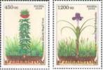 2010 UZBEKISTAN Flowers. 2v: 450, 1200 - Ouzbékistan