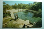 The Fresh Mineral Fountains That Spread All Over Saudi Arabia - Other & Unclassified