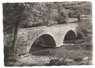 Chanac (48) : Le Vieux Pont Du Printemps En  1950 (animée) PHOTO VERITABLE. - Chanac