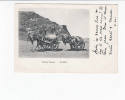 OLD FOREIGN 6800 - YÉMEN - ADEN - WATER CARTS - Yemen