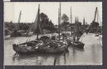 17 -La Tremblade - Contre-jour Sur Le Port - La Tremblade