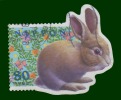 Collection LAPIN - LIEVRE 11 TP Diff.Obl. - Lapins