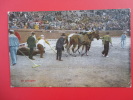 Bull Fight  El Arrastre  Ca 1910 ==   Ref 333 - Bull