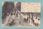 WIEN II.  -  Haupt - Allee .  K. K.  Prater.  - 1901  - BELLE CARTE PRECURSEUR ANIMEE  - - Wien Mitte