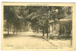 Caussade - Foirail Des Boeufs Et Avenue De Montauban - 1932 - Caussade