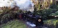 Australia Puffing Billy´s "big Brother" G42, Near Menzies Creek, Victoria Unused - Andere & Zonder Classificatie