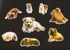 LOT De 6 Chromos Decoupis à Paillettes - Chiens  Chiots  Dog  - - Animals