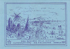 M-0921-  Palermo Dua Kunveno De La Sicilias Esperantistoj - Esperanto Postcard - Annullo Speciale - Esperanto