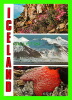 ICELAND - PARADICE OF BOTANISTS, GEOLOGISTS AND TOURISTS - LITBRA H.F. - - Iceland