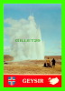 ICELAND - GEYSIR - THE GREAT GEYSIR, S. ICELAND - ANIMATED -  PUB BY SOLARFILMA - - Island