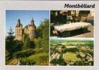 MONTBELIARD - SOCHAUX - Le Stade - Le Chateau - La Pierre A Poissons    (30464) - Sochaux